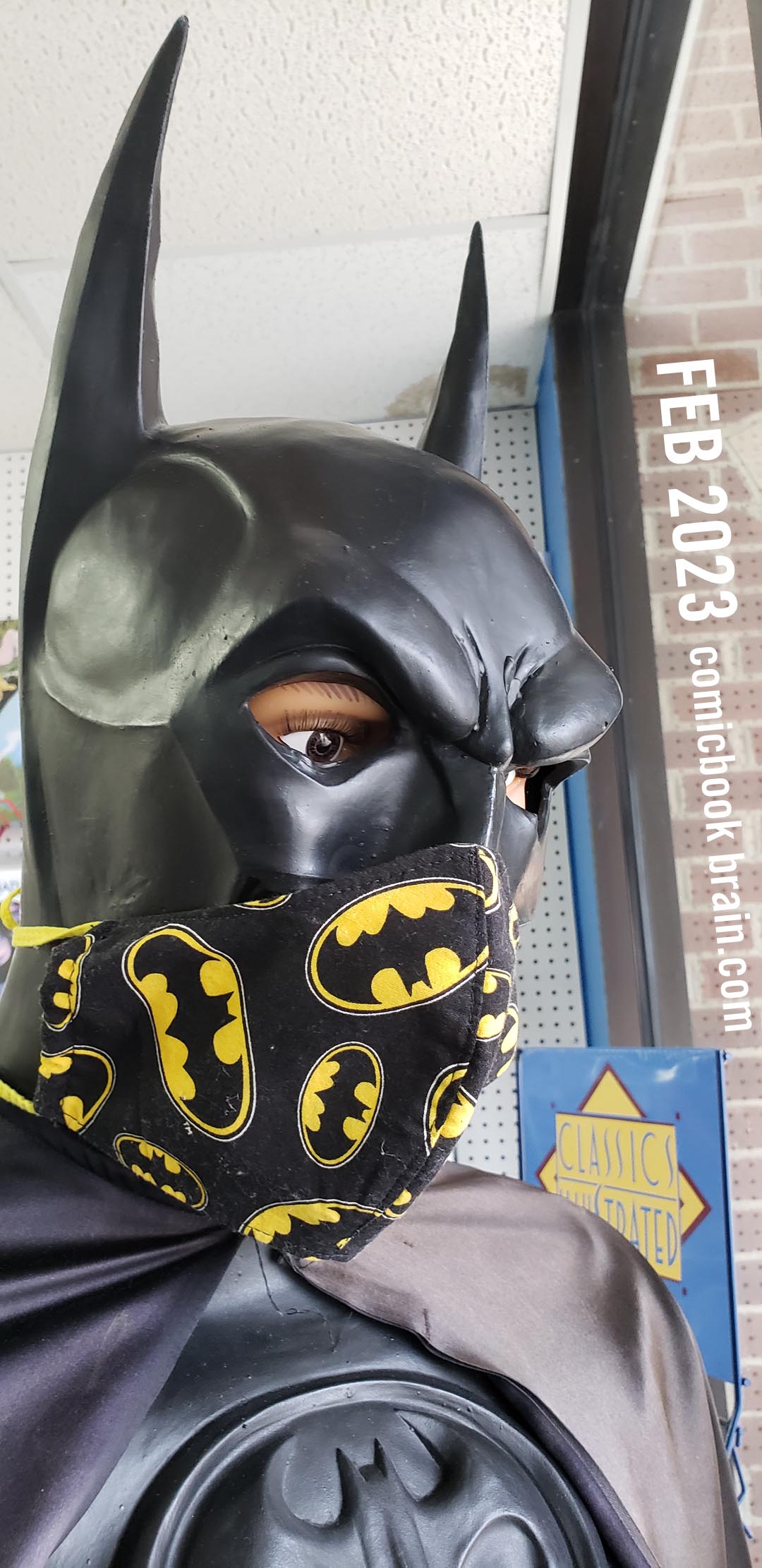 Batman wearing a Bat Mask
